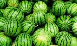 网暴的吃瓜视频,揭秘吃瓜视频背后的真相