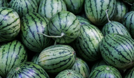 吃瓜网颜色,揭秘网络世界多彩生活