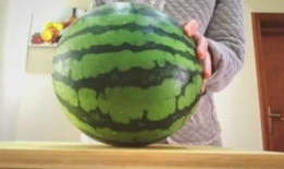 打不开吃瓜网,吃瓜网无法打开背后的真相